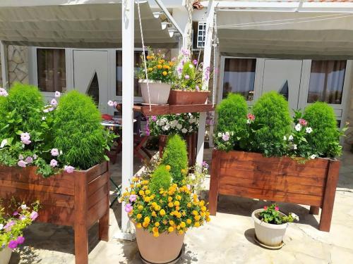 Apartmani Pilić Ljiljana - image 12