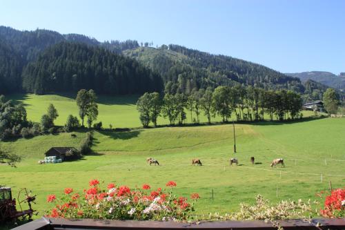 Blonbauer, Schladming (photo 2)