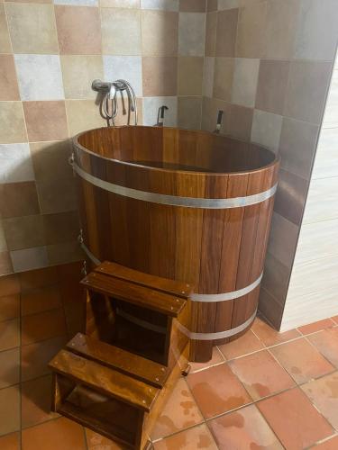 Szauna, Samota u Hadince in Rokytnice V Orl. Horach