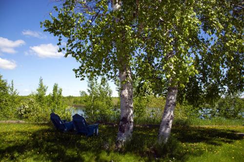 บริการและสิ่งอำนวยความสะดวก, Motel Moreau in เซนต์ เฟลิเชี่ยน