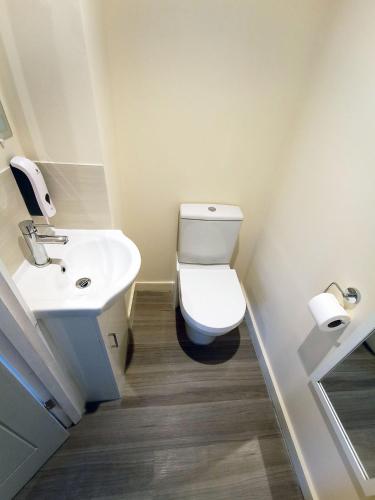 The Maple Studio - Self contained one bed studio flat Room Type - One-Bedroom Apartment
