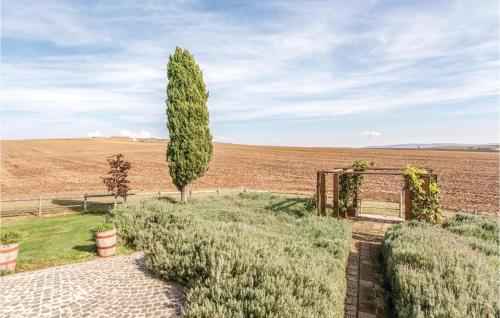 Podere Matilde - image 6