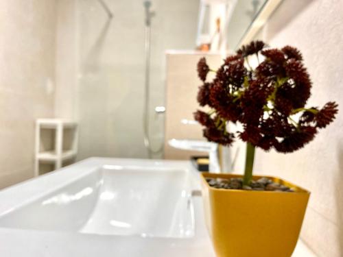 Lovely 1-bedroom rental unit near 2mars/Habous, Casablanca (fotografie 5)