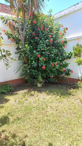 Chalet del Rosedal in Barrio Bajo Gorriti
