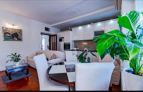 Apartment Touch, Korčula (fotografie 6)