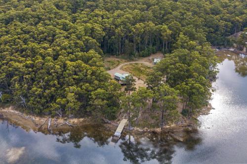 Tall Trees- Forest hideaway on Hastings Lagoon