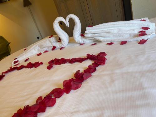 Guesthouse Vakantie Logies Hollywood - image 11