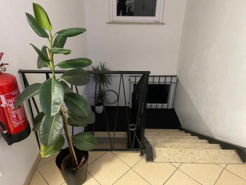 Hotel Am Wildpark - image 12