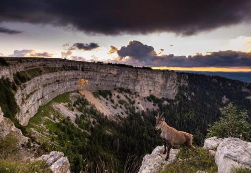 Attraksjoner i nærheten, Appartement Wonder in Val-de-Travers