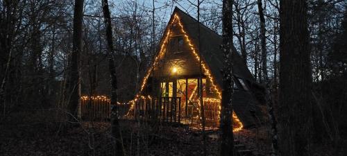 Woodpecker - bungalow 29, Durbuy (foto 10)