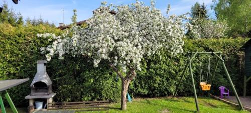 Cudodomek na Mazurach w Woszczelach koło Ełku Cudodomek na Mazurach w Woszczelach koło Ełku