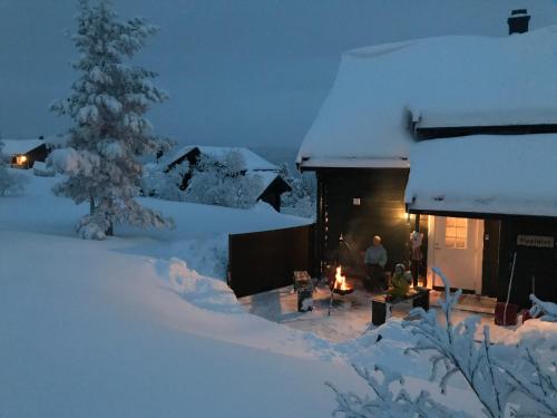 Vrådal Panorama - Flott hytte på toppen