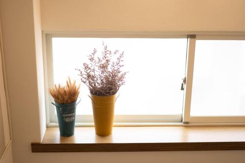 THEDAY B&B THEDAY B&B