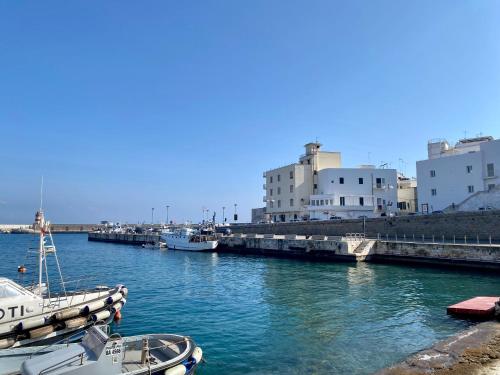 Casa Luisa - Puglia Mia Apartments 3