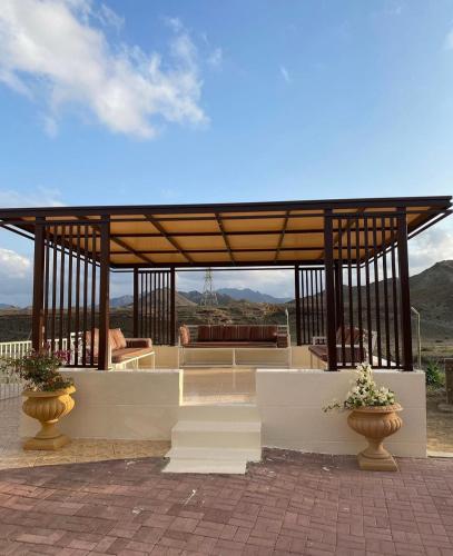 Algor Farm in Hatta