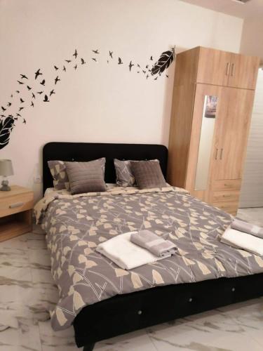 Casagrande Studio 3