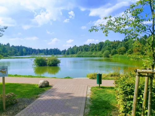 Seeblick am Kranichsee