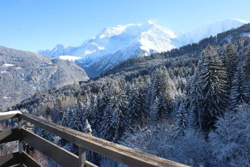 Le Cristal du Mont-Blanc Saint Gervais Les Bains