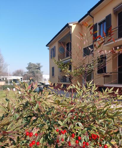 Have, La Chicca in Annicco