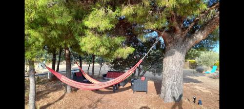  B&B Curica Doma in Šibenik
