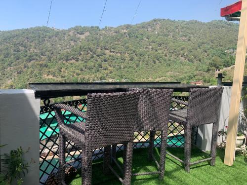 The Panda, Dharamsala (zdjęcie 4)