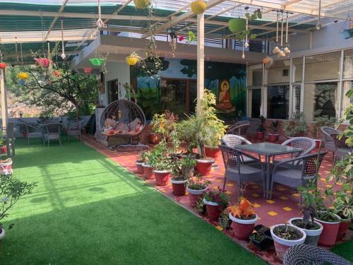 The Panda, Dharamsala (zdjęcie 3)