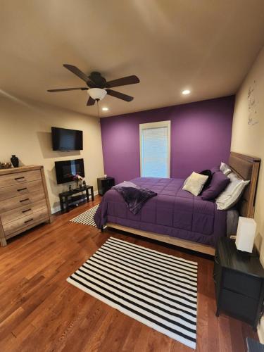 Spacious Newly Renovated Home in Peoplestown