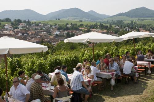 Hotel Dalberg - image 4