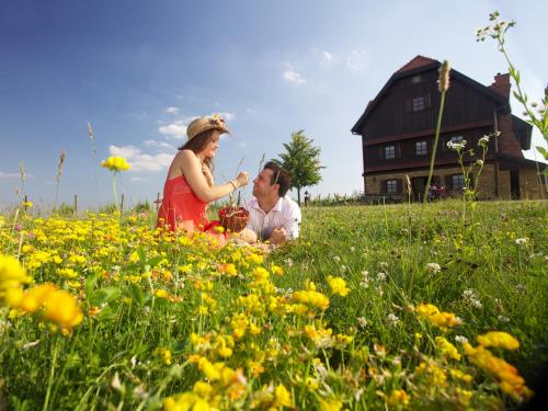  Rooms Bolfan Vinski Vrh, Pension in Hrašćina bei Biškupec Zelinski