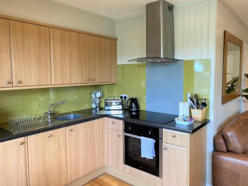 Birch Lodge 18 with Hot Tub, Newton Stewart (fotografie 7)