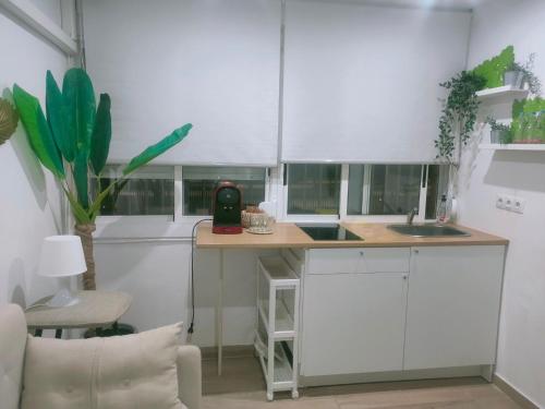  BETERO ESTUDIOS in Valencia