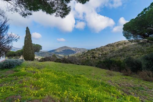  Appartamenti Campo al Pero - Goelba in Casa Leonardi