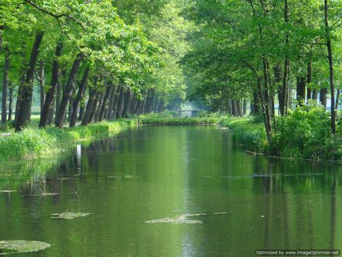 Bergerhof de Schuur in Sevenum