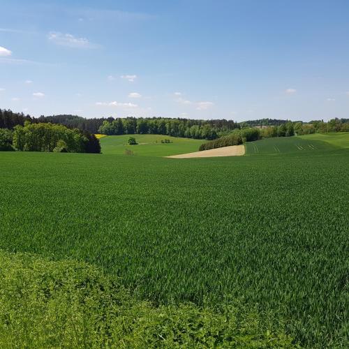A környék, Apartment Curly in Scheyern