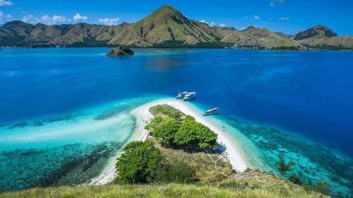 sharing trip Komodo