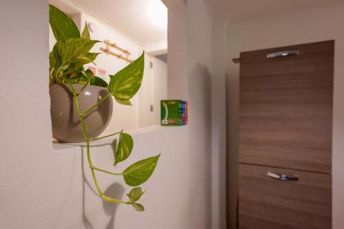 Cavaticcio apartment by Lesdomus, Boloňa (fotografie 10)