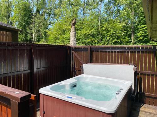 Birch Lodge 21 with Hot Tub - Chalet - Newton Stewart