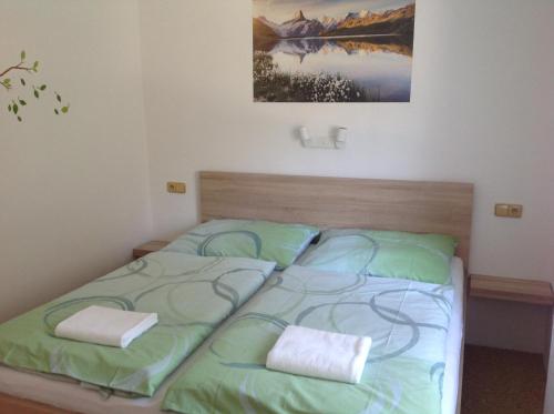 Penzion Zelená zahrada Room Type - Double Room with Private Bathroom Penzion Zelená zahrada Room Type - Double Room with Private Bathroom