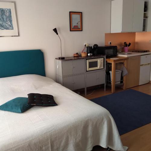 STUDIO au sud de Lyon à Oullins - Apartment