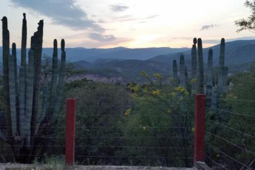 Casa Rustica Reserva Biosfera Tehuacan Cuicatlan in Santo Domingo Yanhuitlán