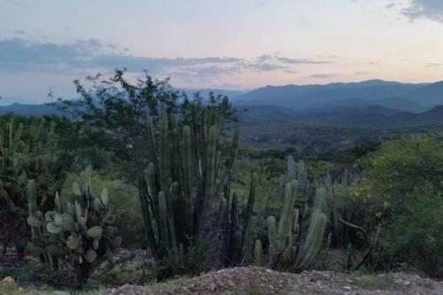 Casa Rustica Reserva Biosfera Tehuacan Cuicatlan in Santo Domingo Yanhuitlán