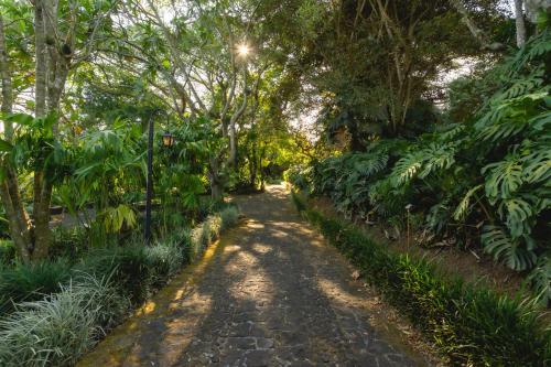 Finca Rosa Blanca Coffee Farm and Inn