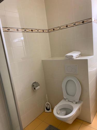  City appartement in Lausanne