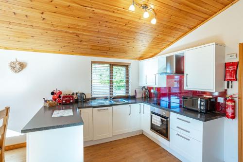 Konyha, Laurel Lodge 6 with Hot Tub in Newton Stewart