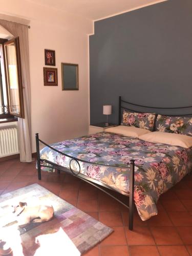 MILU´- incantevole appartamento in centro a Garda in Garda