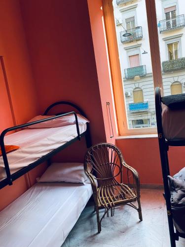 Dama HostelBB