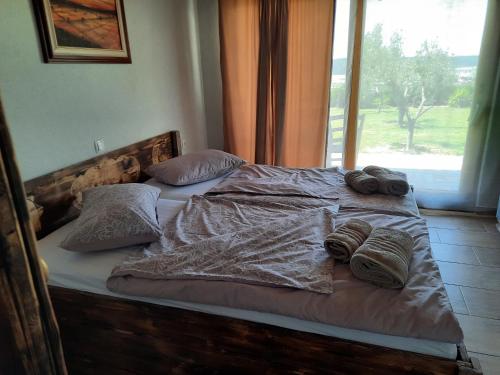 Casa Coronica Casa Coronica