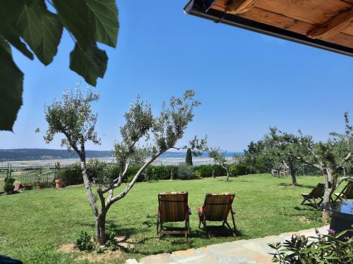 Casa Coronica Casa Coronica