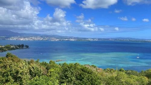 Le Marmoris, Anse Mitan, Superbe T2 neuf, sublime vue mer