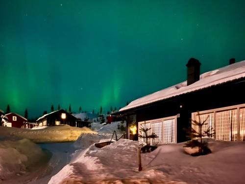 Family friendly cabin Hemsedal GolfAlpin golf, ski-out, fireplace & wifi in Hemsedal